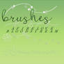 Brushes Set 23