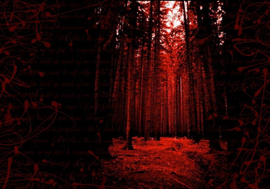 Bloody Forest