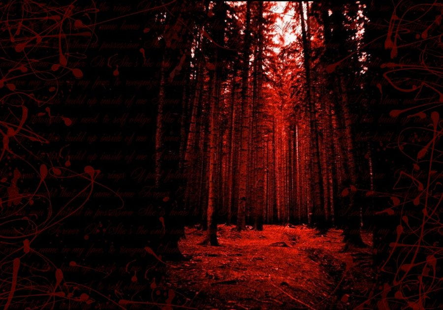 Эффект хоррора. Темный Кровавый лес. Страшный лес. Красный Кровавый лес. Страшный фон.