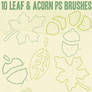Leaf and Acorn Outline Brushes