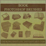 book brushes by chokingonstatic