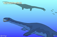 Nothosaurus : the famous