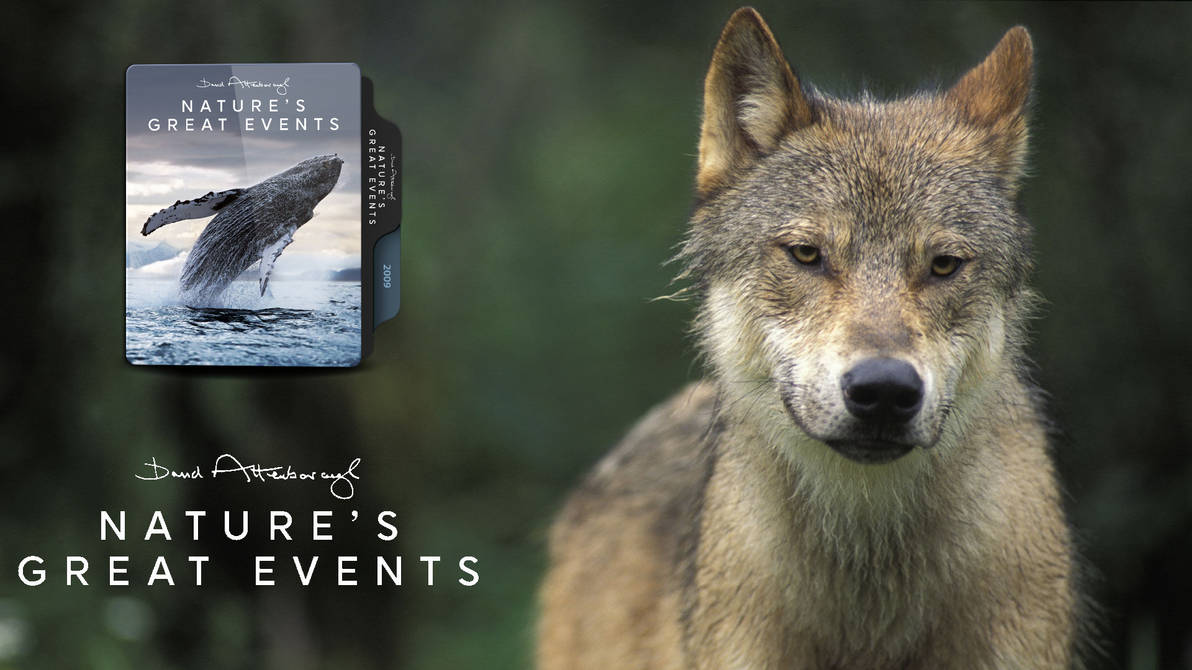 Nature S Great Events 2009 V2 By Mbfire On Deviantart