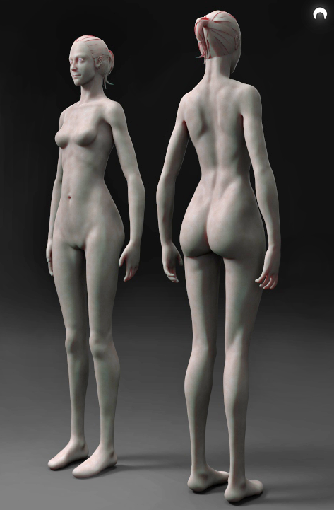 Female Anatomy Free Download By Fumanshooh On Deviantart