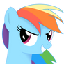 Rainbow Dash Portrait series