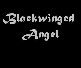 Black Winged Angel by risaphoenix on DeviantArt