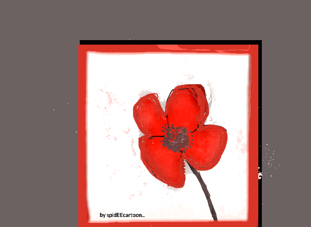 Red poppy