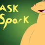 Ask Spark