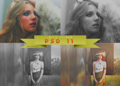 Psd 11-wild Things -by Trouble