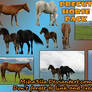 Horse precut png _stock