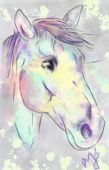 Painted pony