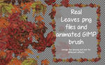 Real leaves GIMP brush