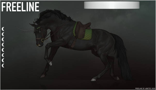 FREELINE: Soul Fighter
