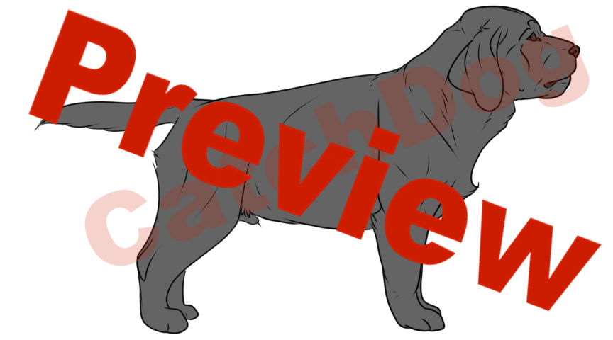 Lab Puppy Lines by CatchDog on DeviantArt