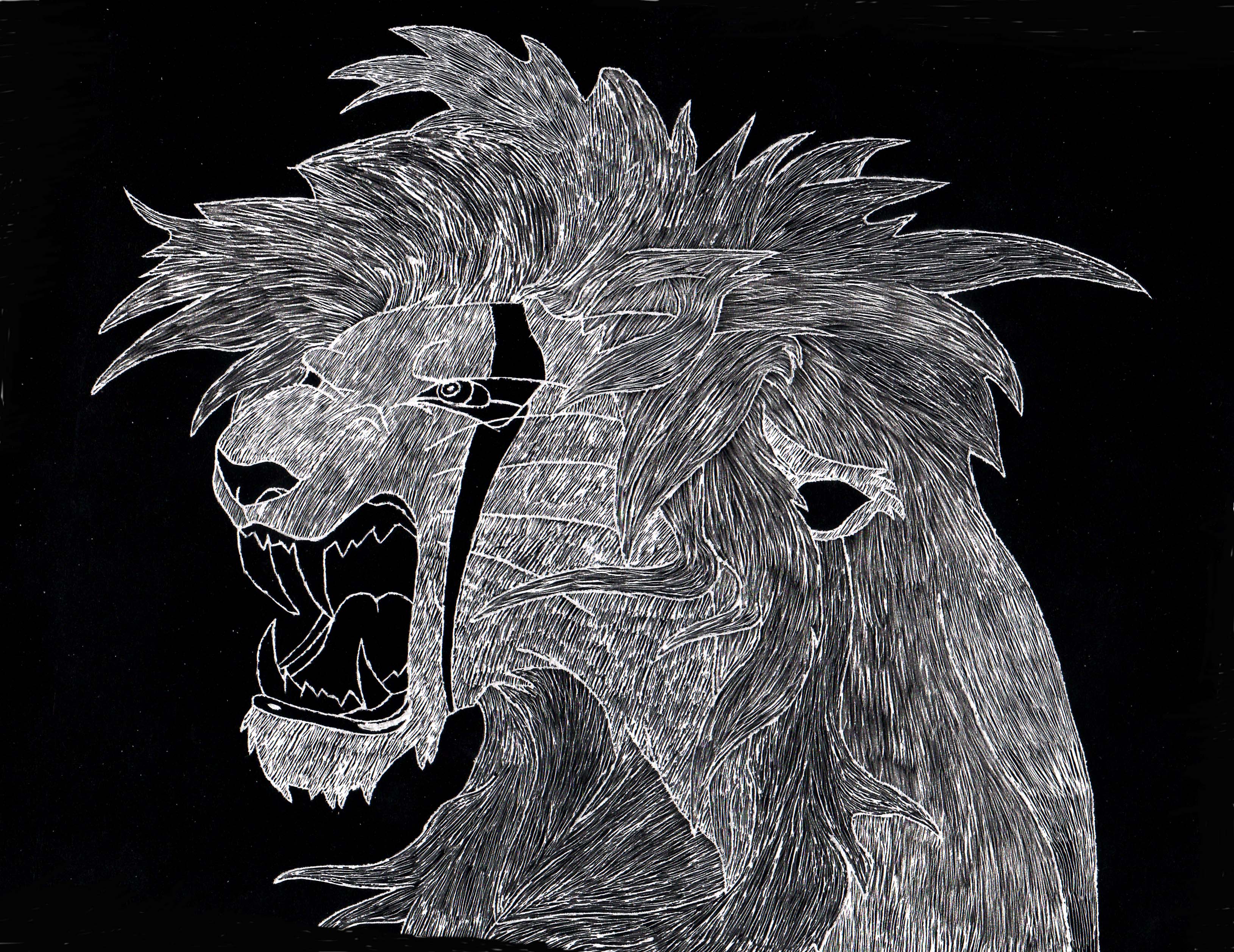 Lion Scratchboard by untoldsecret09 on DeviantArt