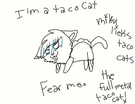 TacoCat