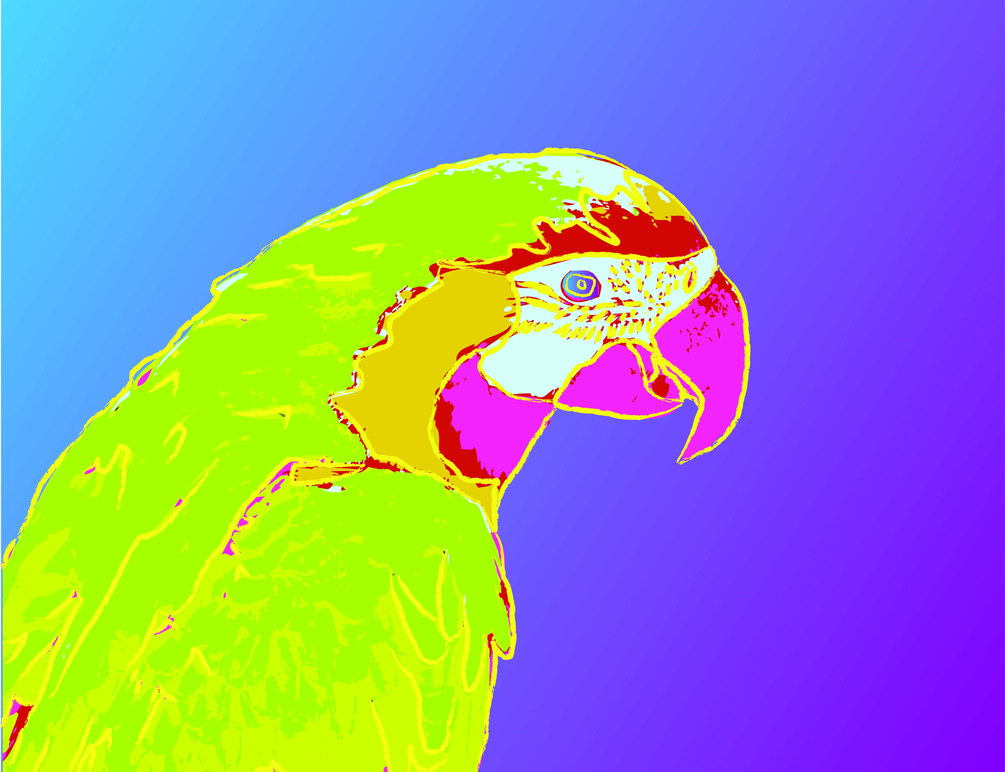 Macaw Pop Art Portrait