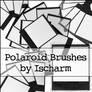 Ischarm Polaroid Brushes