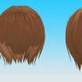 Born Back Hair DL