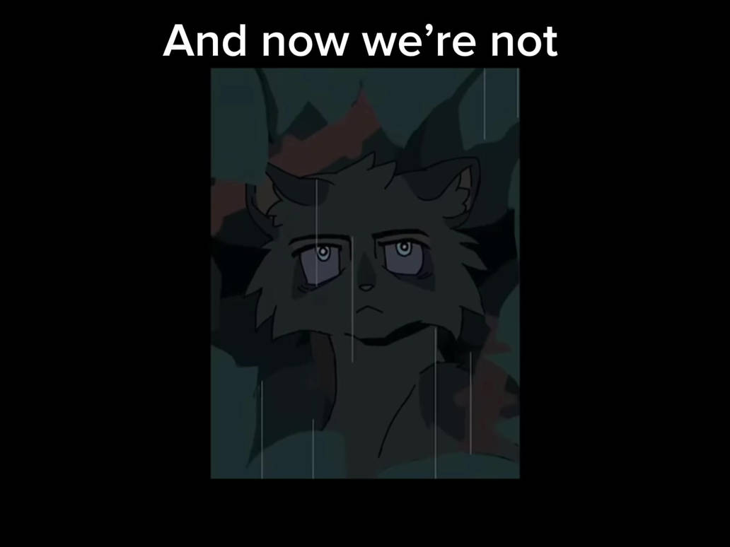 Warrior Cats Edit 3 By Thecatdragonlover On Deviantart