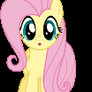 Flutterderp