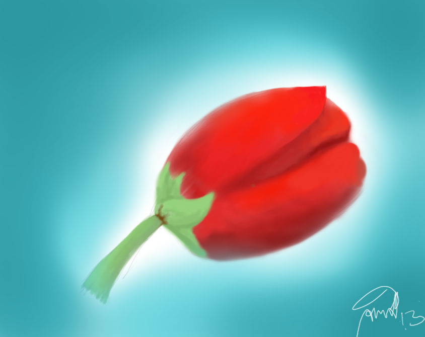 Tulip by JackeRepei on DeviantArt