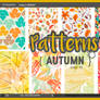 Patterns Autumn BHR