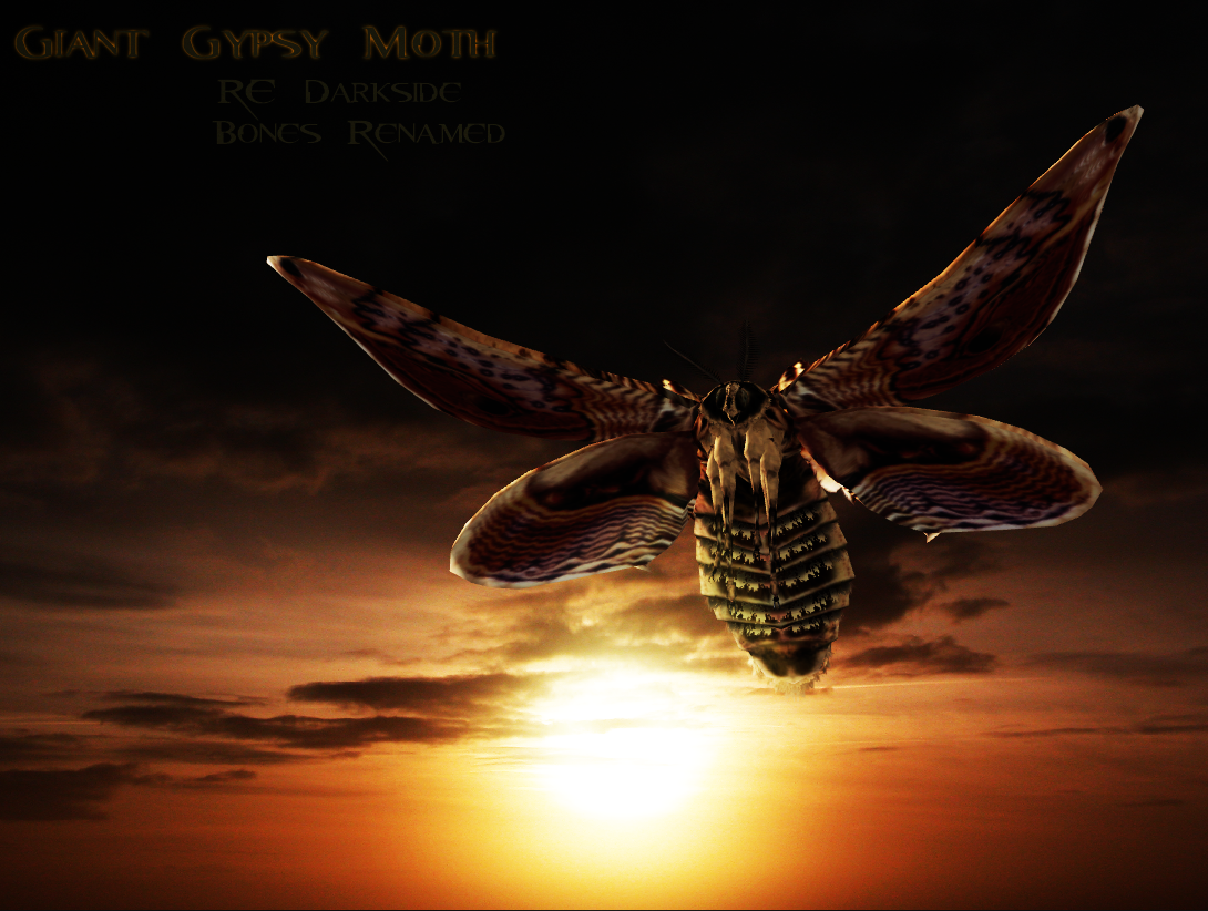 Giant Gypsy Moth Model by a-m-b-e-r-w-o-l-f