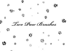 Paw brushes