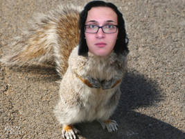 Squirrel Jon