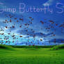 Gimp Butterfly Storm