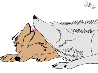 Wolf Grooming Animation