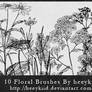 10_Floral_Brushes_By_heeykiid