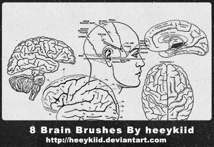 8 Brain Brushes By heeykiid