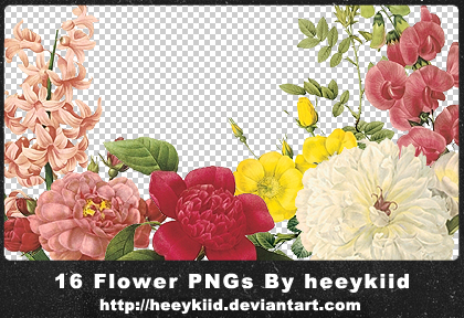 16_Flower_PNGs_By_heeykiid