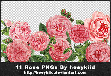 11 Rose PNGs By heeykiid