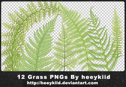 12 Grass PNGs By heeykiid