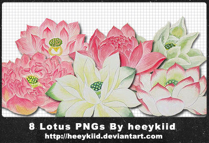 8 Lotus PNGs By heeykiid