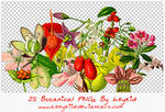 25 Botanical PNGs By heykid