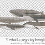 5 Whale Pngs By Heeykiid