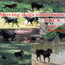 Moving Dogs references PACK 1