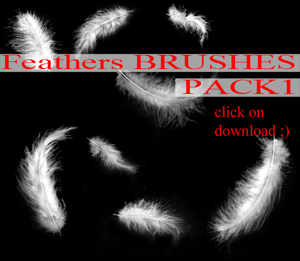 Feathers BRUSHES PACK 1