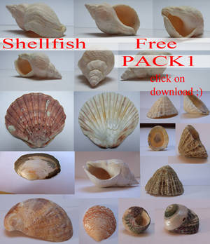 ShellFish Pack 1