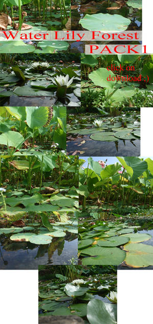 Water Lily Forest Pack