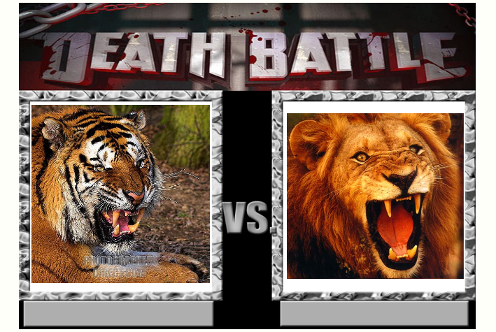 Death Battle 1: Tiger vs Lion by Kiryu2012 on DeviantArt