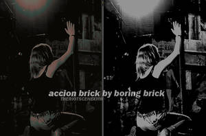 ACCION BRICK BY BORING BRICK