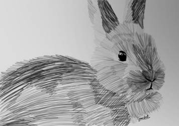 Bunny Poster
