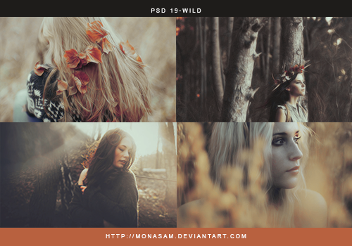 Psd 19- WILD by monasam on DeviantArt