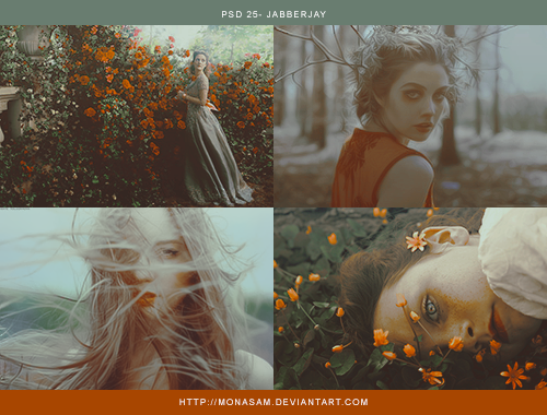 Psd 25 - JABBERJAY by monasam on DeviantArt