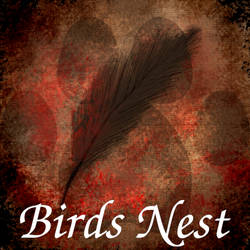 Birds Nest, Short Story